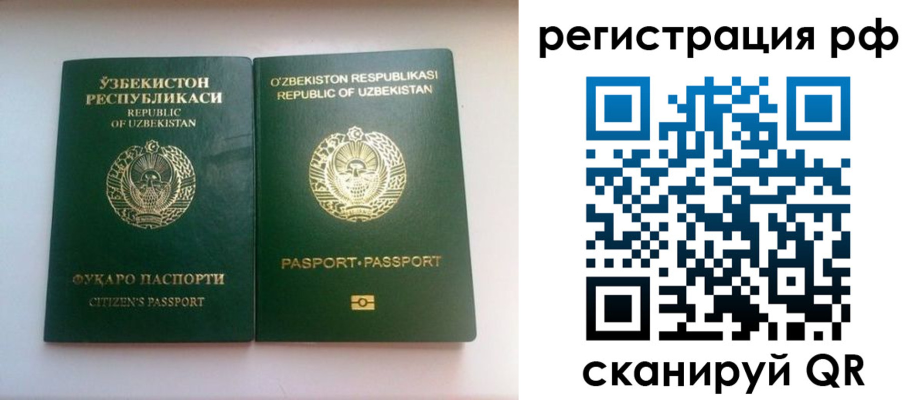 пропишу в квартире в Новосибирске